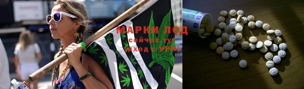 ПСИЛОЦИБИНОВЫЕ ГРИБЫ Нея