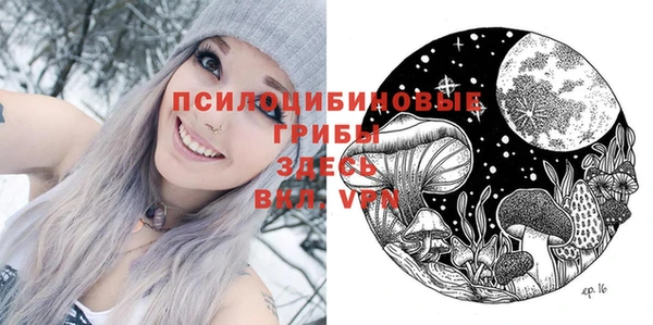 ПСИЛОЦИБИНОВЫЕ ГРИБЫ Нея