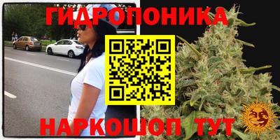 PSILOCYBIN Бийск