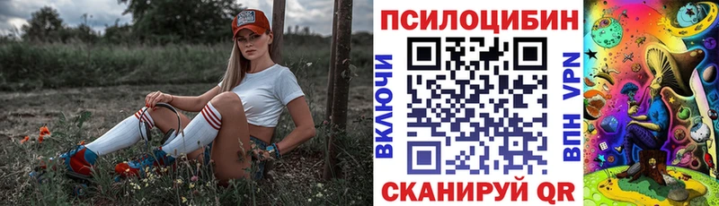 Псилоцибиновые грибы GOLDEN TEACHER  Кондопога 