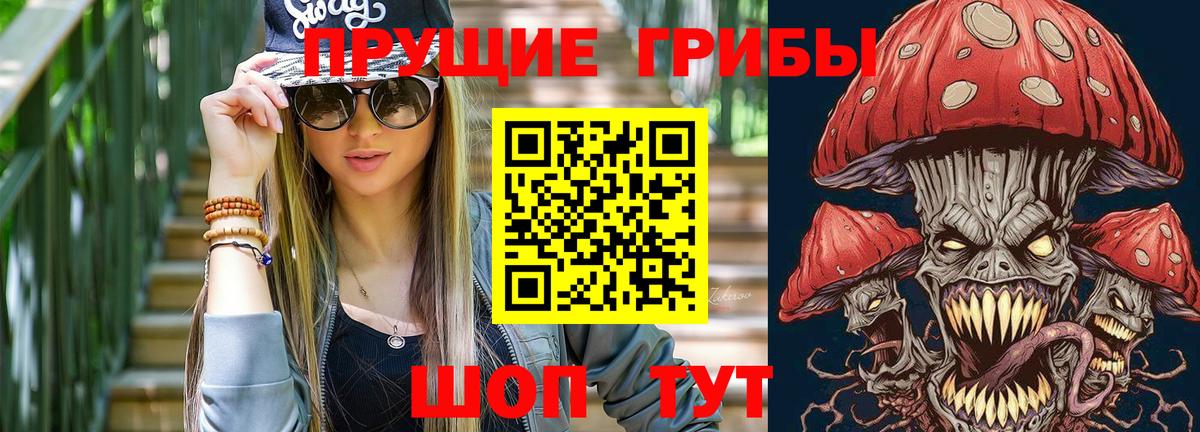 Галлюциногенные грибы Psilocybine cubensis  Кондопога 